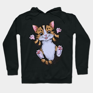 a brown, black, and white cat Hoodie